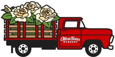 Otto & Sons Truck Logo